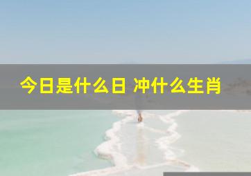 今日是什么日 冲什么生肖